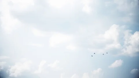 Four fighter jets in the blue sky. A general plan. Aerobatic figures. Airshow Stock Footage 124143605