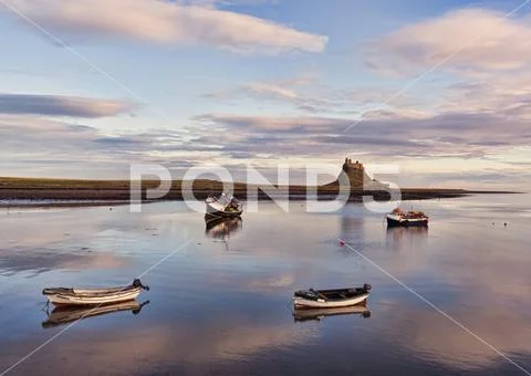 Four fishing boats moored in the harbour with the tide in, Lindisfarne Castle in Stock Photos