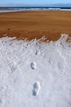 Four footprints in snow on empty beach on a cold winters day Stock Photos