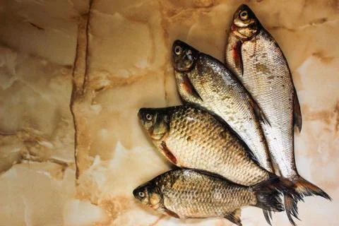 Four fresh raw fish Stock Photos