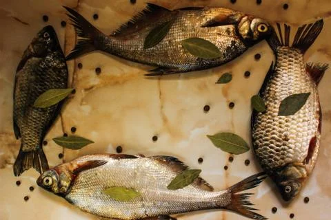 Four fresh raw fish with spices in the form of a frame Stock Photos
