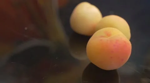 Four fresh red apricots Video stock 62597998