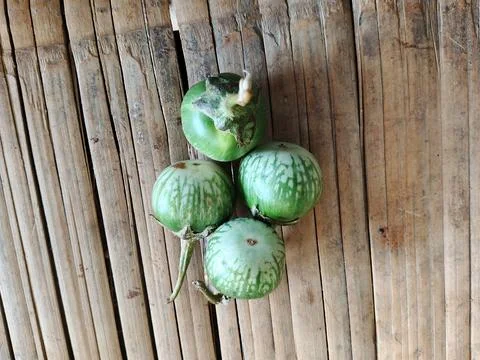Four fresh round Thai eggplants on a rustic bamboo floor Stock Photos