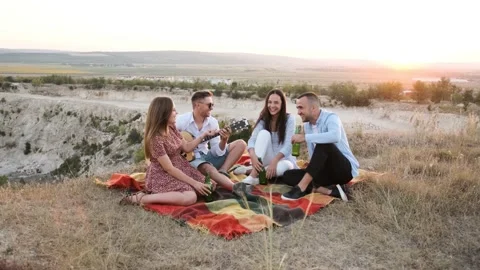 Four friends having fun at the summer picnic and drinking a bottle of beer. Stock Footage 138433092
