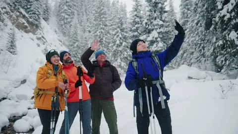 Four friends taking selfie during winter hike Stock Footage 331665699