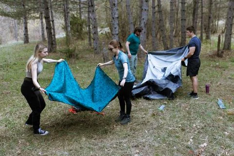 Four friends work together to set up a tent in a forested area during a sunny Stock Photos