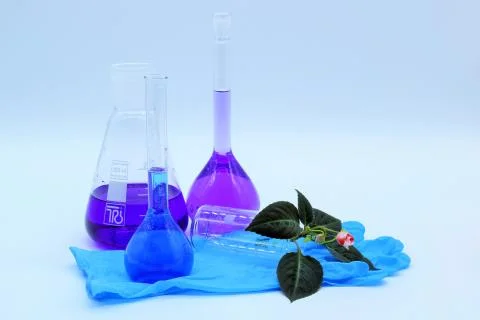 Four glass flasks with a multi-colored liquid. Blue rubber gloves and a flower. 스톡 사진