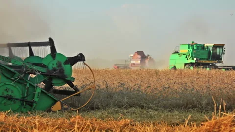 Four harvesters Stock Footage 106466004