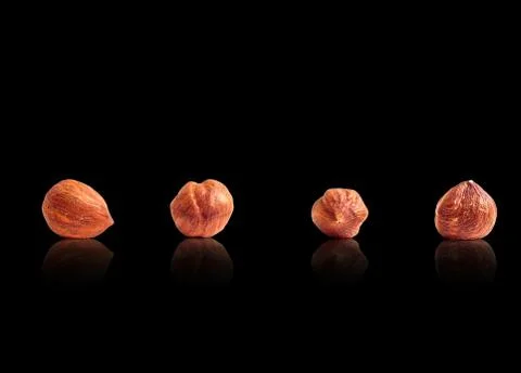 Four of hazelnut Stock Photos