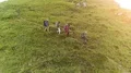 The four hikers with backpacks walking down on the mountain 4k or 4k+ Resolution