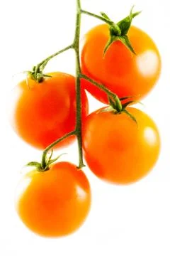 Four isolated cherry tomatoes Stock Photos