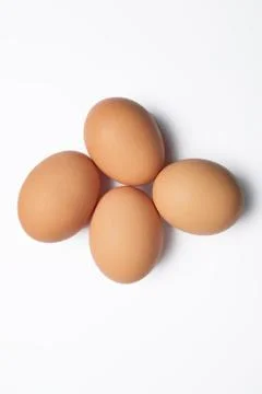 Four isolated chicken eggs Stock Photos