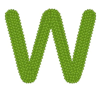 Four Leaf Clover of Alphabet Letter W Stock Illustration