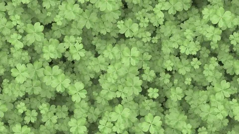 Four Leaf Clover Background Stock Footage 72717126