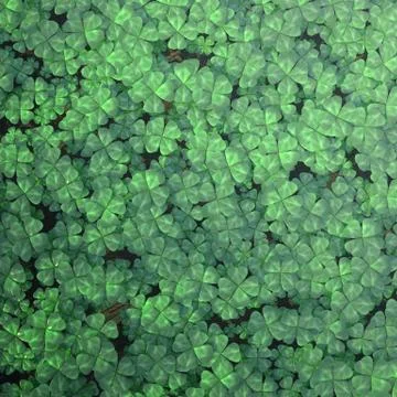 Four-leaf clover field for background, top view. 3d illustration high resolution Stock Illustration