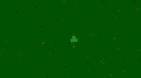 Four leaf clover Stock Footage 993668
