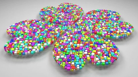 Four leaf clover Stock Footage 82946543