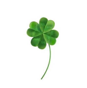 Four Leaf Clover for good luck. Stock Illustration