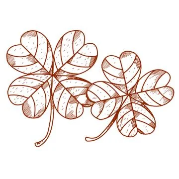 Four-leaf clover. Stock Illustration