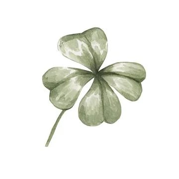 Four leaf clover isolated on white background. Watercolor botanical illustrat Stock Illustration