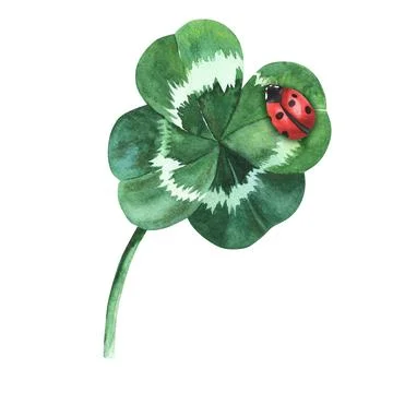 Four-leaf clover with ladybug on it. Watercolor illustration isolated on white Stock Illustration