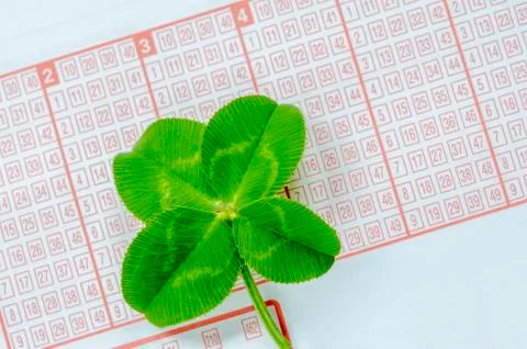 Four leaf clover Stock Photos
