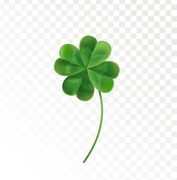 Four Leaf Clover on a transparent background. Stock Illustration