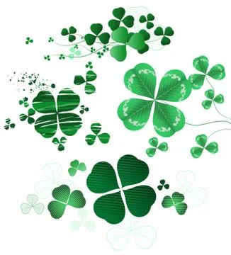 Four-leaf clover on a white background. Stock Illustration