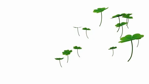 Four-leaf clovers falling rotating slowly lightly, 3D illustration, animation Stock Footage 108614127