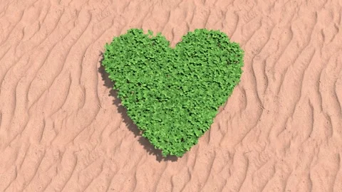 Four leaf clovers growing in a heart shaped pattern (4K - 25 FPS + Alpha) Stock Footage 259508074