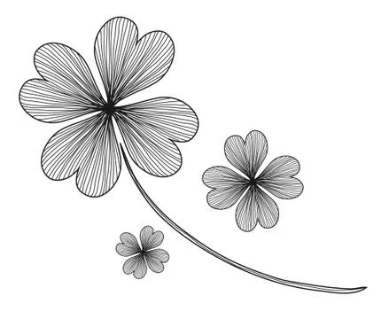 Four leaf clovers Stock Illustration