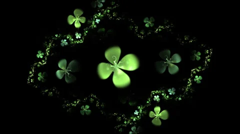 Four leafed clover on black,  animation Stock Footage 35907959