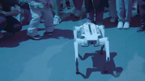 Four-Legged Robot dog - mechanical device with AI, behavior of a living creature Stock Footage 323860593