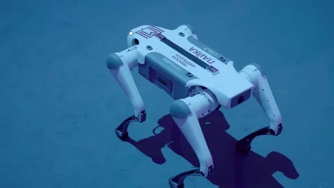 Four-Legged Robot dog - mechanical device with AI, behavior of a living creature Stock Footage 323915948