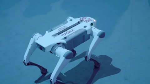 Four-Legged Robot dog - mechanical device with AI, behavior of a living creature Stock Footage 323968801