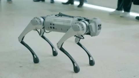 Four-Legged Robot dog - mechanical device with AI, behavior of a living creature Video stock 330877684