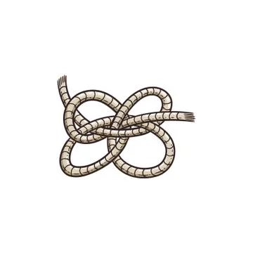 Four loop sailor cord knot isolated on white background. Stock Illustration