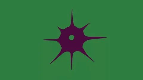 Four Looping Isolated Green Screen Stock Video Stock Footage 338017915