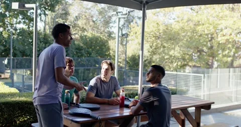 Four males at picnic table, standing male with phone coming left joining chat, Stock Footage 342067557