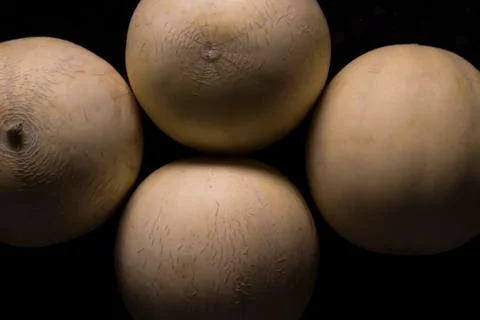 Four melons on black background Stock Photos