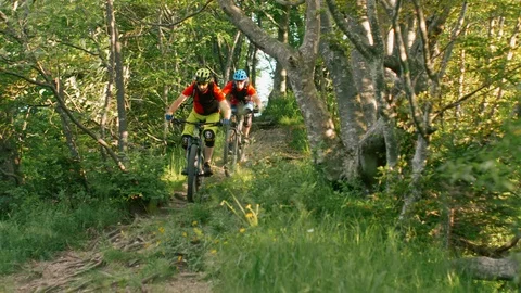 Four men biking riding downhill on a mountain bike trough the forest trails slow Stock Footage 127464015
