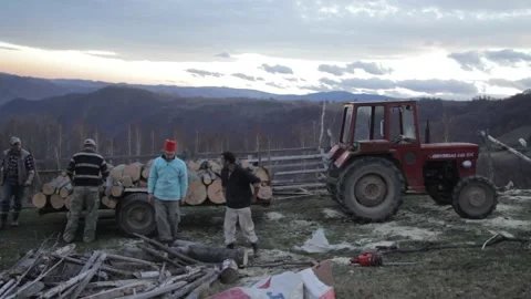 Four men loading the trailer pulled by the tractor, with the logs cut from t Stock Footage 166523436