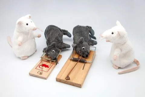 Four mice Stock Photos