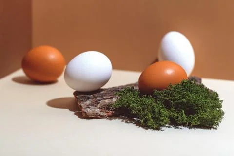 Four multi-colored eggs and natural materials moss and wood. Easter concept Stockfoto's