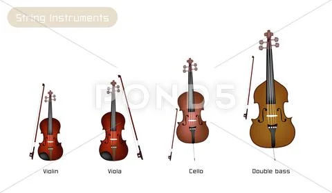 Four Musical Instrument Strings on White Background Stock Illustration