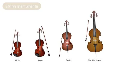 Four Musical Instrument Strings on White Background Stock Illustration