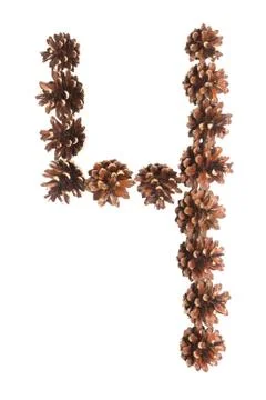 Four number made of pine cone Foto stock