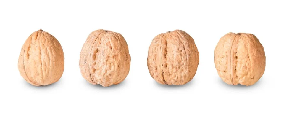 Four nuts lying in a row Stock Photos