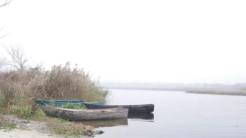 Four old rusty boats moored near the shore with reeds. Foggy morning Stock Footage 119980409