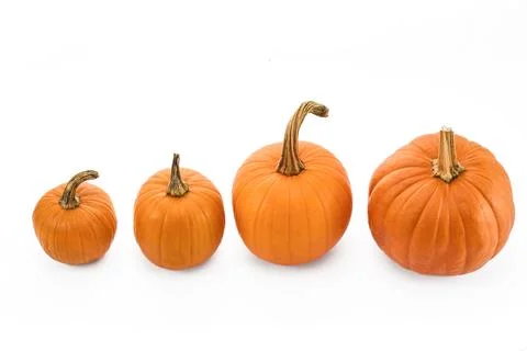 Four orange pumpkins in ascending size order against a white background Stock Photos
